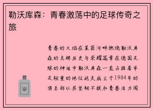 勒沃库森：青春激荡中的足球传奇之旅